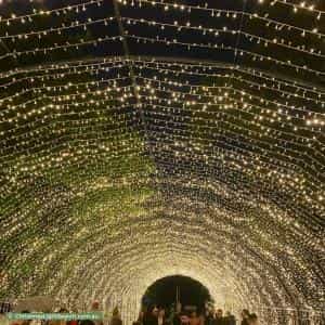 Christmas Light display at 1 Solent Circuit, Norwest