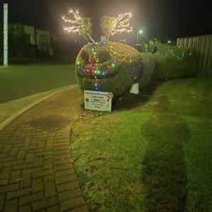 Christmas Light display at 12 Cedar Street, Munno Para West