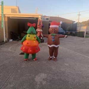 Christmas Light display at 210 Wilsons Road, Newcomb