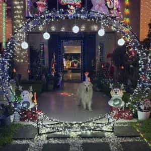 Christmas Light display at 17 Brunner Court, Kellyville