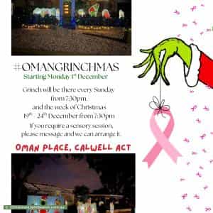 Christmas Light display at 3 Oman Place, Calwell