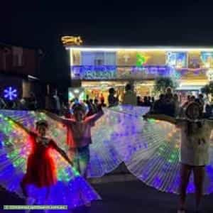 Christmas Light display at 24 Kootingal Street, Greystanes