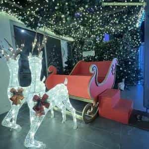 Christmas Light display at 91 Hennessy Avenue, Moorebank