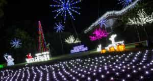 The Boulevard, Ivanhoe - Christmas Lights 2024