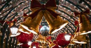 Brisbane Christmas Carols Guide 2024