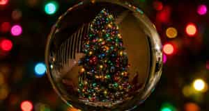 Brisbane Christmas Events Guide 2024