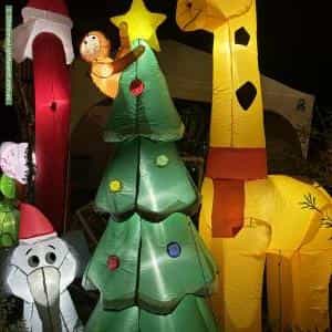 Christmas Light display at 3 Keogh Street, West Launceston