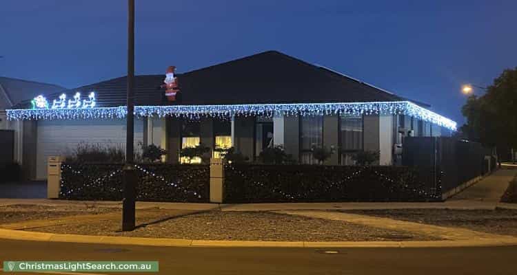 Christmas Light display at 142 Petherton Road, Andrews Farm