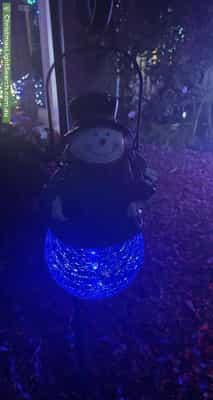 Christmas Light display at 38 King Street, Yarra Glen