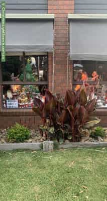 Christmas Light display at 213 Craigieburn Road, Craigieburn