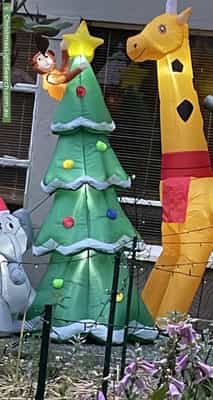 Christmas Light display at  Foveaux Street, Ainslie