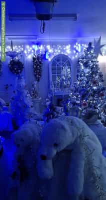 Christmas Light display at 97 Annabelle Crescent, Upper Coomera