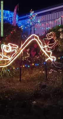 Christmas Light display at 7 Tandy Street, Aberfoyle Park