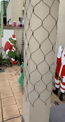 Christmas Light display at 5 Chapel Lane, Mawson Lakes