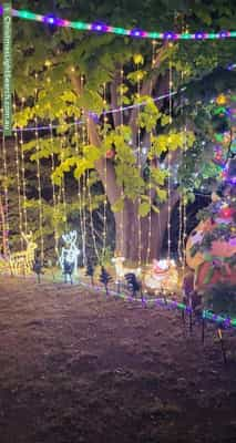 Christmas Light display at 26 Marlock Street, Rivett