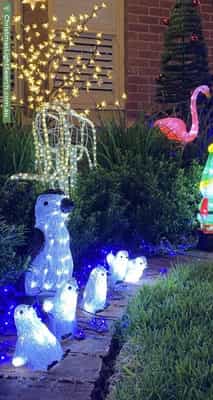 Christmas Light display at 40 Penang Avenue, Colonel Light Gardens