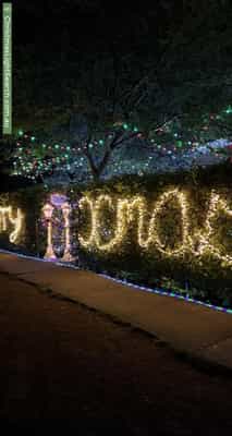 Christmas Light display at 185 Miller Street, O'Connor