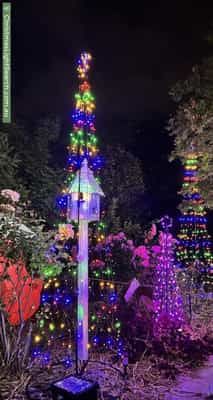 Christmas Light display at  Foveaux Street, Ainslie