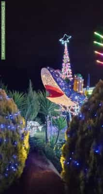 Christmas Light display at  Beela Place, Ngunnawal