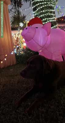 Christmas Light display at 4 Barnardo Close, Wahroonga