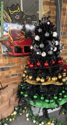 Christmas Light display at 14 Hughes Avenue, Hobartville