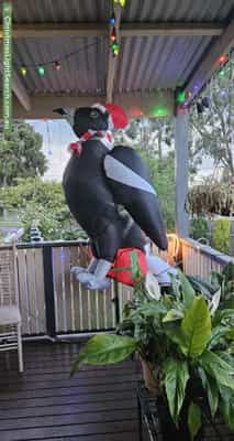 Christmas Light display at 52 Blackwood Park Road, Ferntree Gully