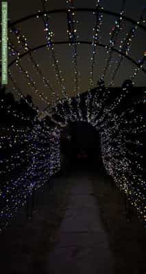 Christmas Light display at 12A Erica Avenue, Mount Claremont