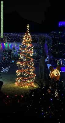 Christmas Light display at 12A Erica Avenue, Mount Claremont