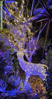 Christmas Light display at 14 Frawley Gardens, Murdoch