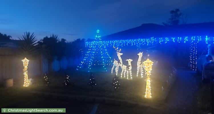 Christmas Light display at  Petrel Close, Seaford Rise