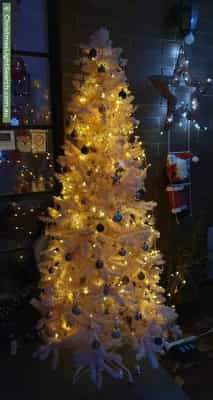 Christmas Light display at Jennifer crescent, Bayswater north