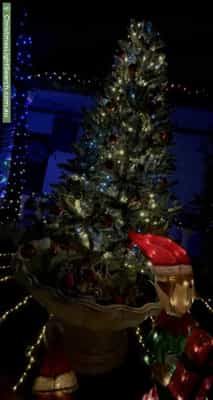 Christmas Light display at 8 Frederick Street, Sydenham