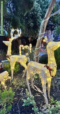 Christmas Light display at 8 Otira Road, Knoxfield