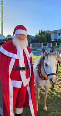 Christmas Light display at 49 Frances Burke Street, Gungahlin