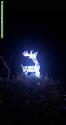 Christmas Light display at  Carruthers Street, Curtin