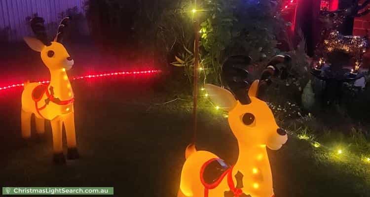 Christmas Light display at 40 May Terrace, Ottoway