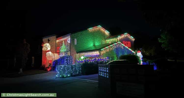 Christmas Light display at 3 Everard Street, Palmerston