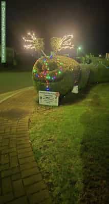 Christmas Light display at 12 Cedar Street, Munno Para West