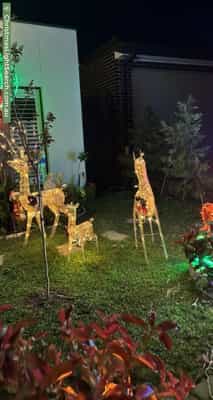 Christmas Light display at  Jorgensen Street, Moncrieff