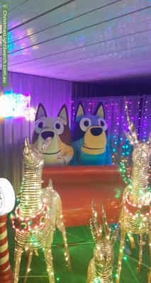 Christmas Light display at 158 Peachey Road, Davoren Park