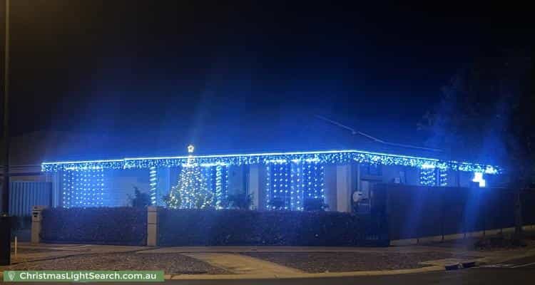Christmas Light display at 142 Petherton Road, Andrews Farm