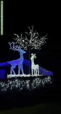 Christmas Light display at 7A Brandary Place, Hastings