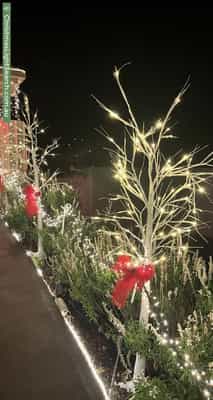 Christmas Light display at 66 Woodend Road, Sheidow Park