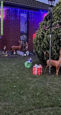 Christmas Light display at 101 Shane Avenue, Seabrook