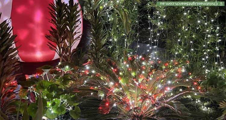 Christmas Light display at 83A Park Road, Cheltenham