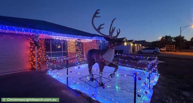 Christmas Light display at 48 Coratina Road, Virginia
