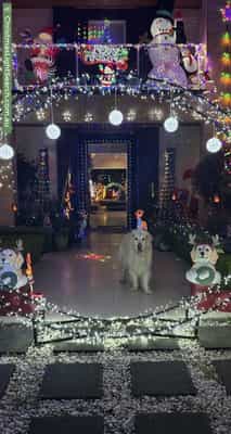 Christmas Light display at 17 Brunner Court, Kellyville
