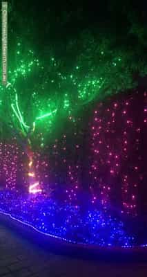Christmas Light display at 74 Warbler Street, Erskine Park