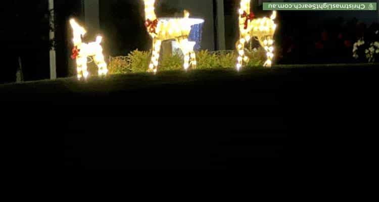Christmas Light display at 8 Park Avenue, Plenty