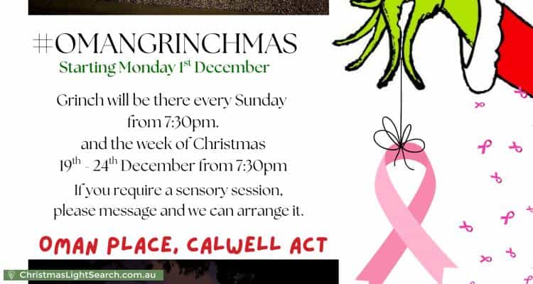 Christmas Light display at 3 Oman Place, Calwell